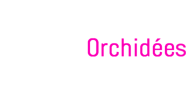 Francis Orchidées